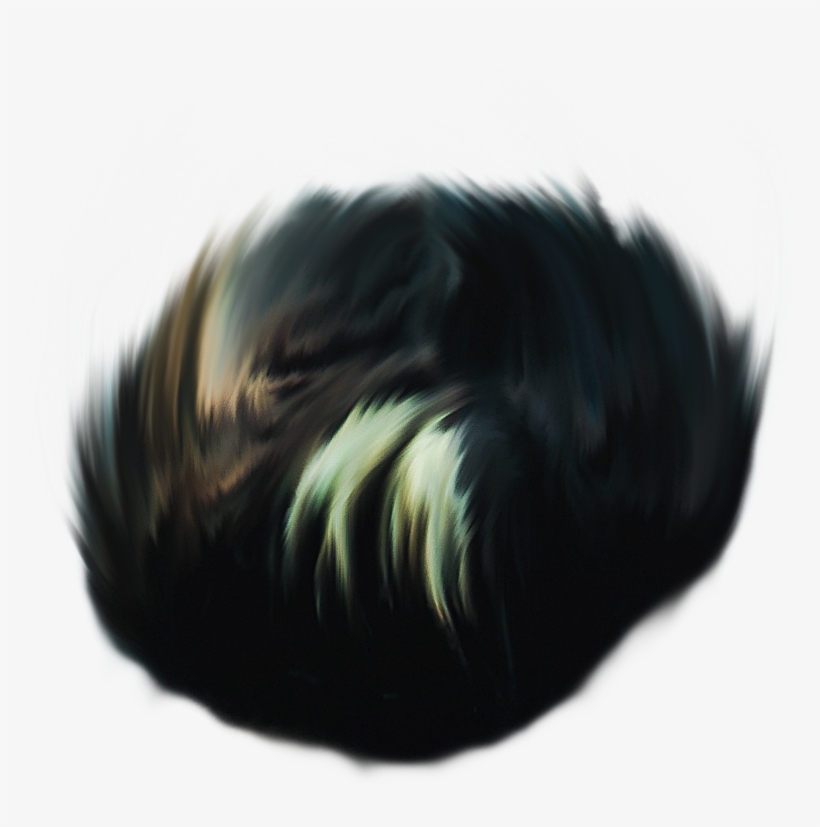 Hair Png ➤ Download - Insect, transparent png #7756837