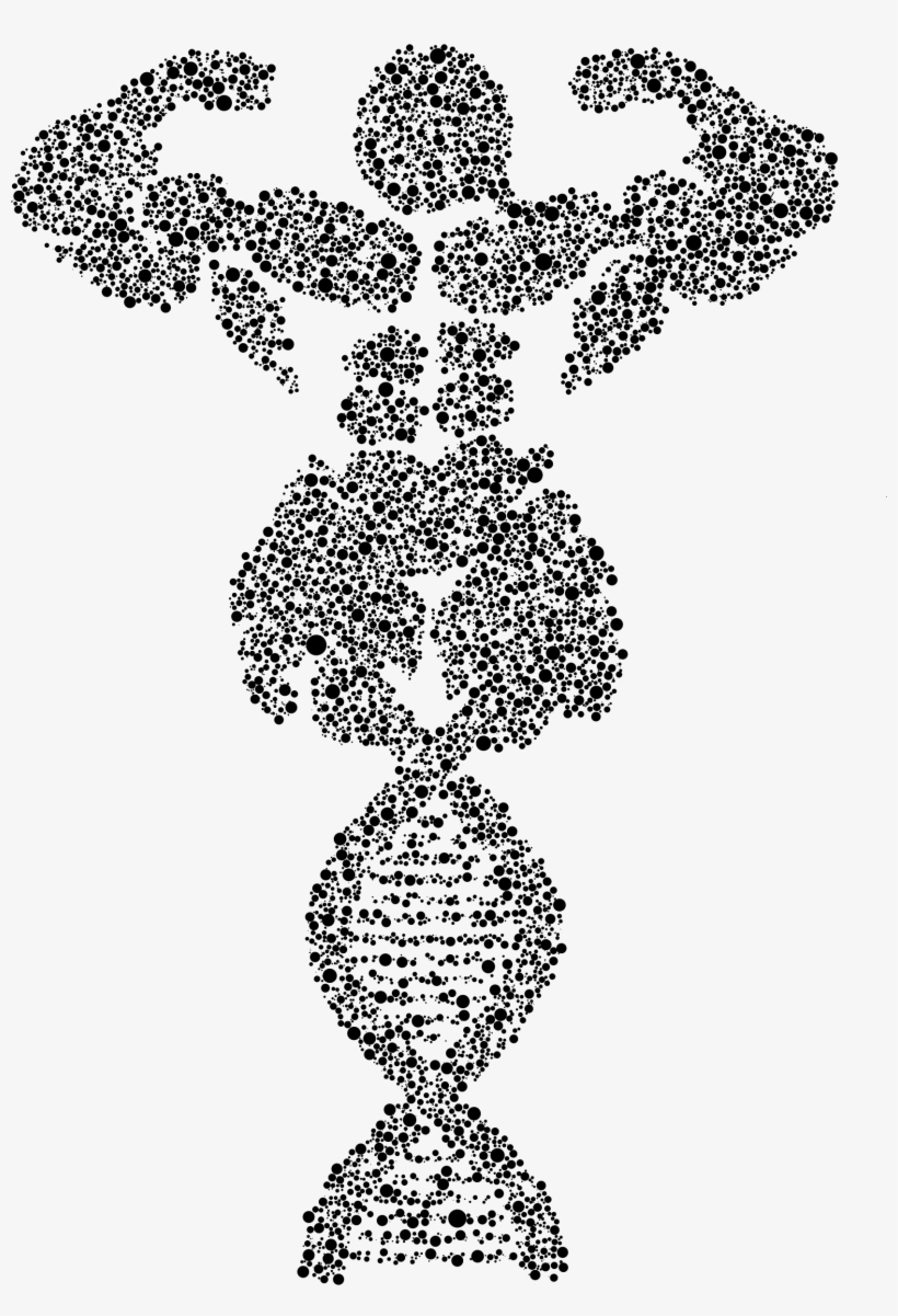 Big Image - Line Art, transparent png #7757270