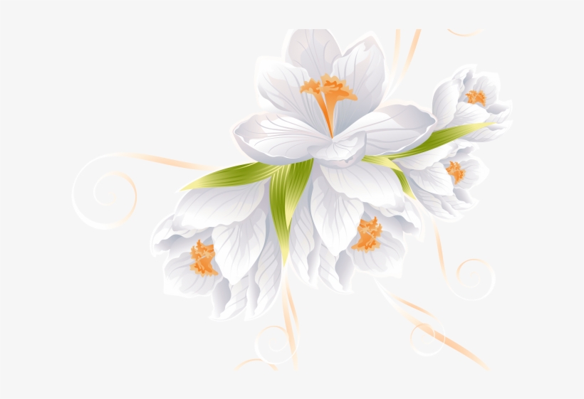 White Flower Clipart Transparent Background - Vector Flowers, transparent png #7758009