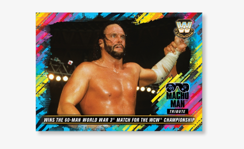 Gallery - Macho Man Wcw Champion, transparent png #7759318