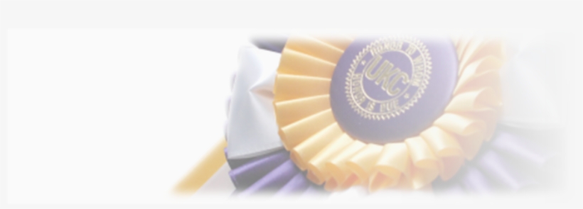 Sandwich Cookies, transparent png #7759559