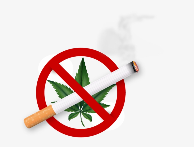 Smoking Cannabis Around Pets Could Also Cause Respiratory - Drugs De Addiction, transparent png #7759661