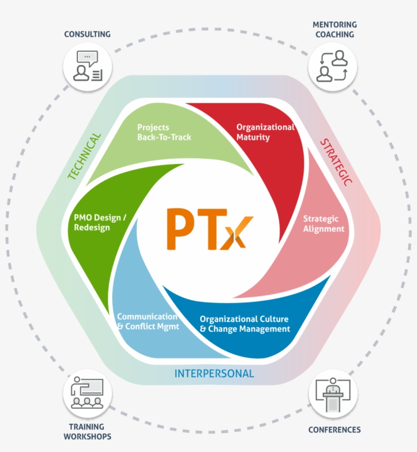 Practical Thinking Experience - Portuguese Language, transparent png #7760065