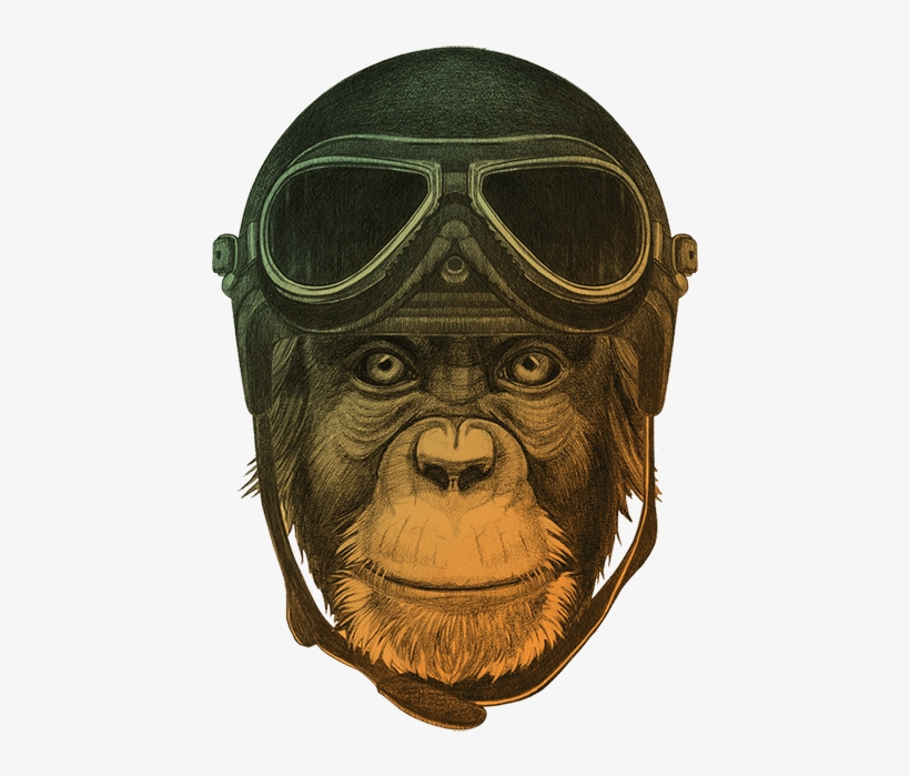 Ape Thinker's Services Background - Monos Con Casco, transparent png #7760242