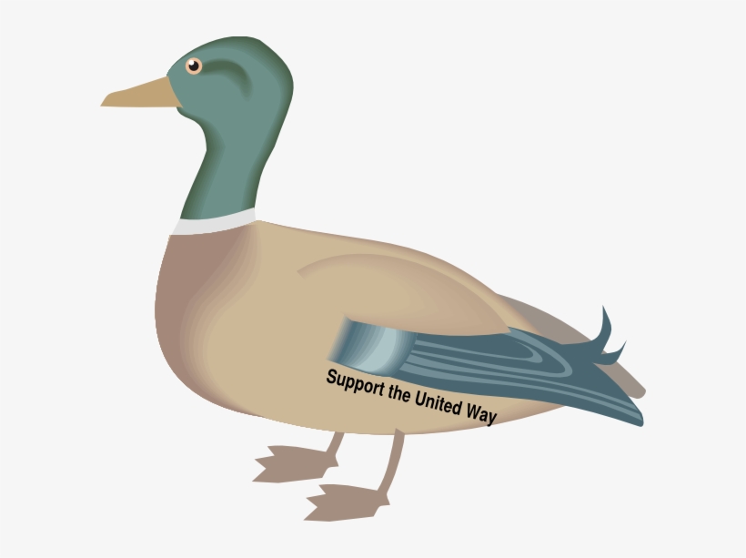 Kelly R Duck Clip Art - Duck Clip Art, transparent png #7761277