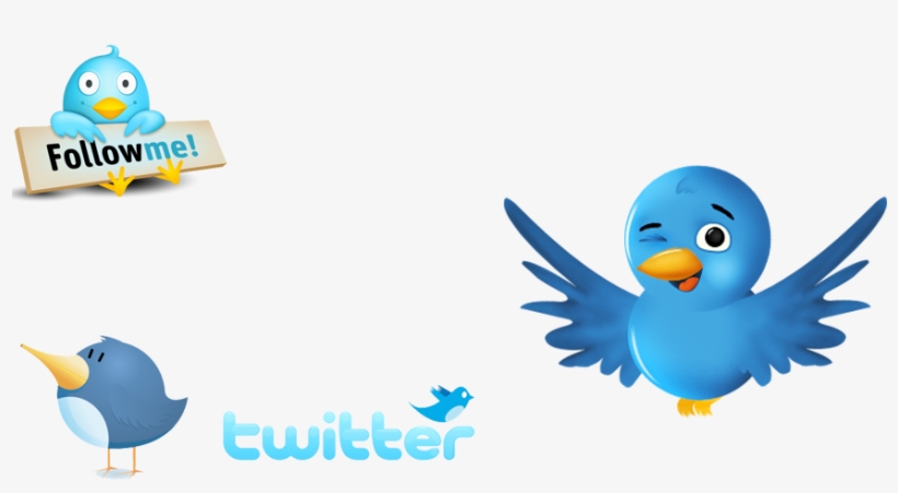 Crimson Twitter Bird - Roblox Promo Codes Bird - Free Transparent PNG  Clipart Images Download