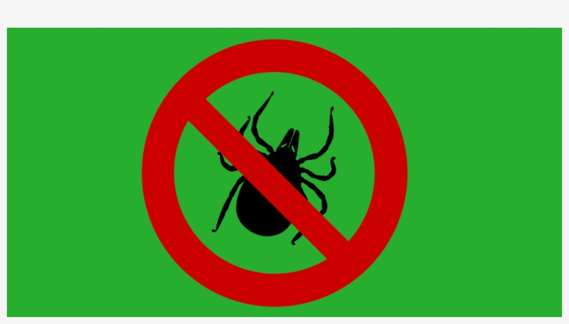 Zecken Clipart, transparent png #7762182