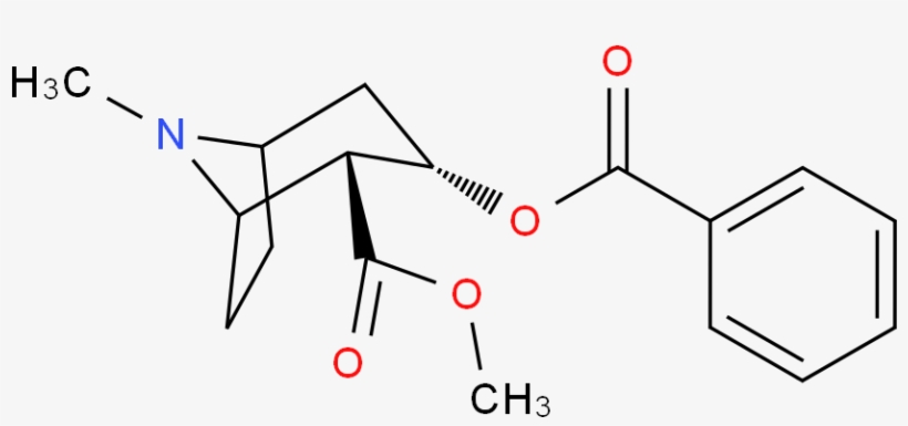 Cocaine 分子结构 Cas 50 36 2) - P Toluic Acid Functional Group, transparent png #7762689