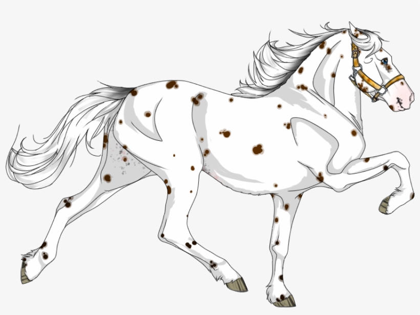 Stallion, transparent png #7763554
