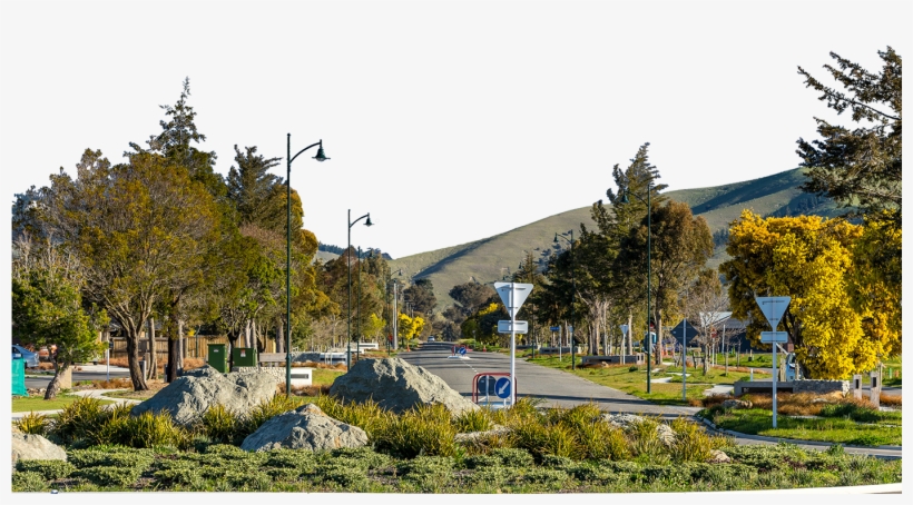 Boulevard Park On Taylor Sub Division Blenheim Marlborough - Spruce, transparent png #7763689