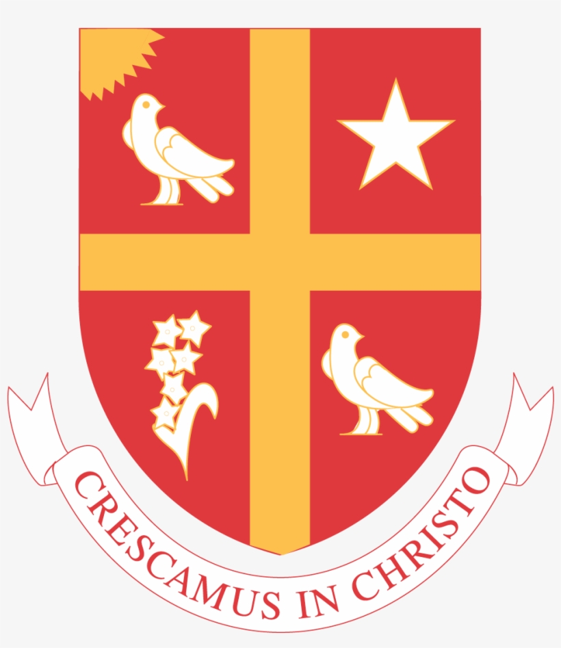 University Of St - Universidad San Thomas Houston, transparent png #7764075