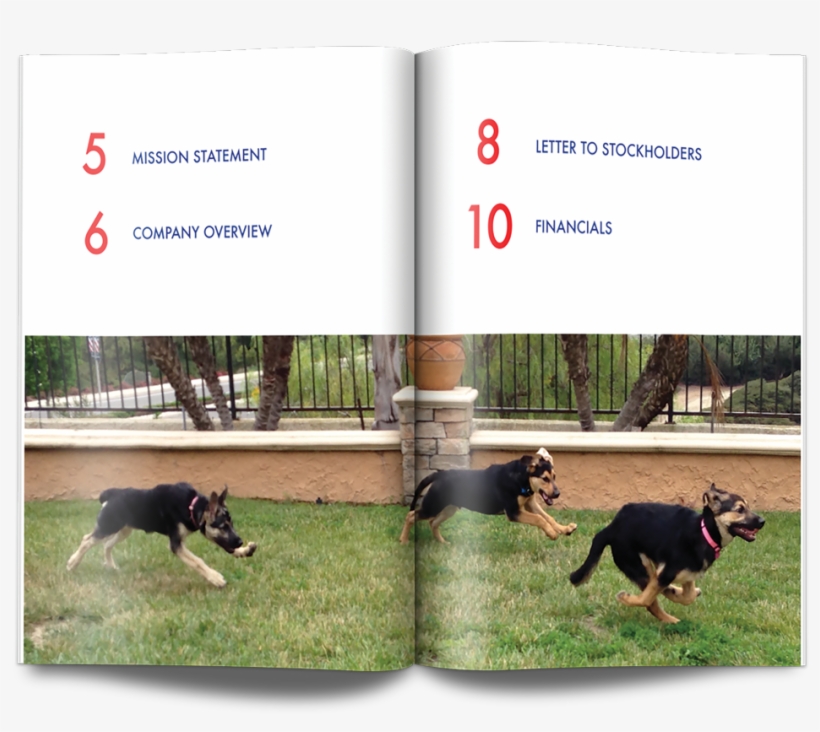 Dobermann, transparent png #7764159