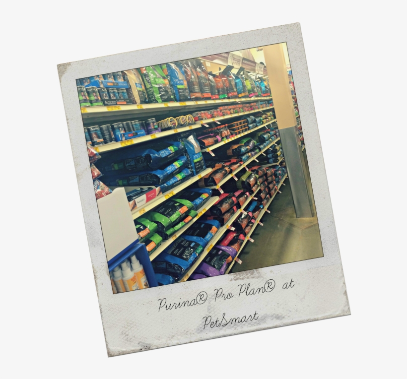 Shelf, transparent png #7764323