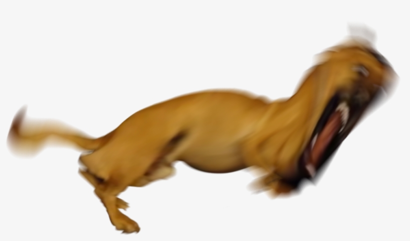 Chris - Dog Yawns, transparent png #7764831