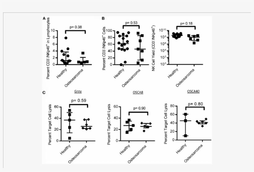 Nk Cell Numbers, Expansion, And Function In Canine - Frontiers In Immunology Nk Cells, transparent png #7765372