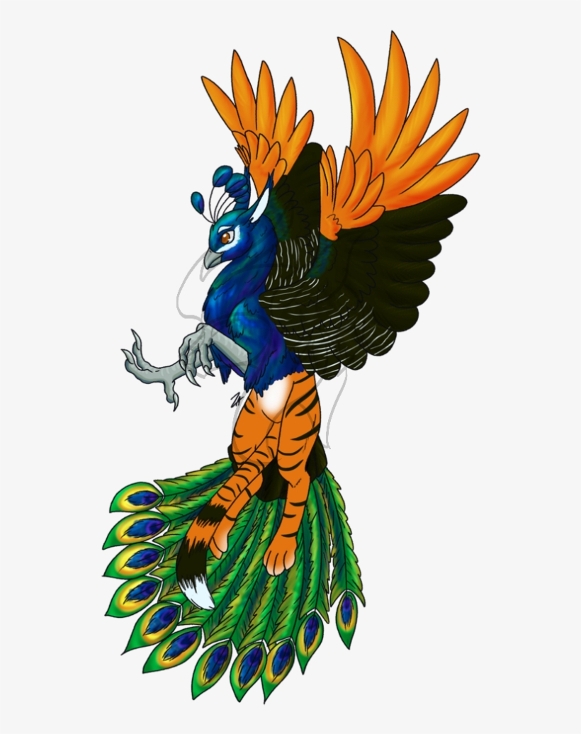Peacock Gryphon - Illustration, transparent png #7765895