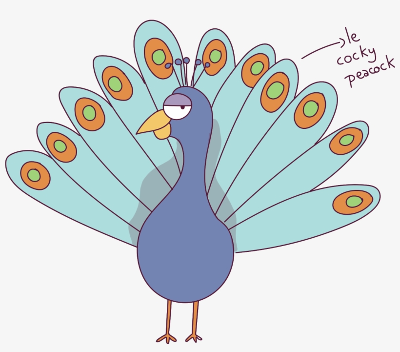 About The Author - Turkey, transparent png #7766212