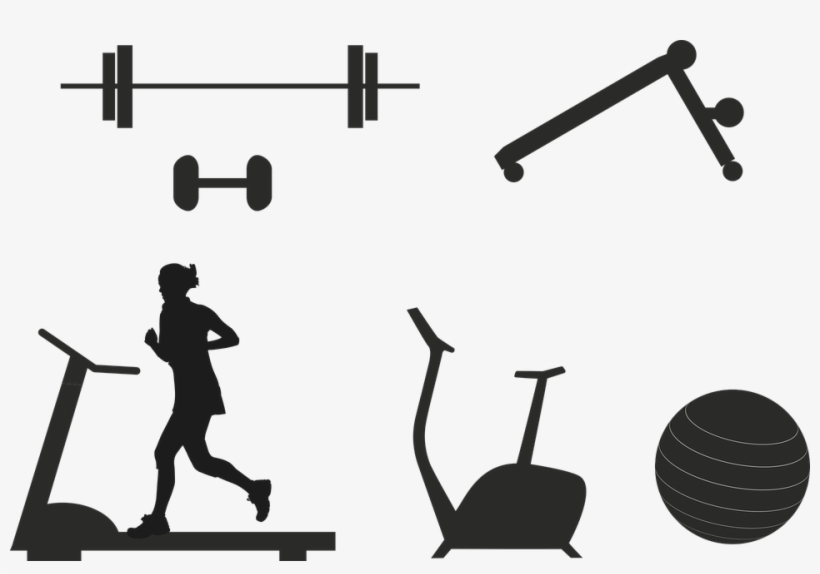 Fitness, Devices, Dumbbell, Treadmill, Ergometer, Sport - Circuit Fitness, transparent png #7766338