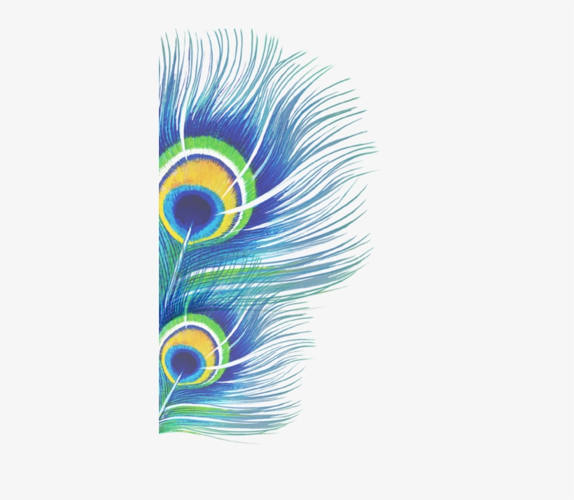 Peacock Hi 3, transparent png #7766540
