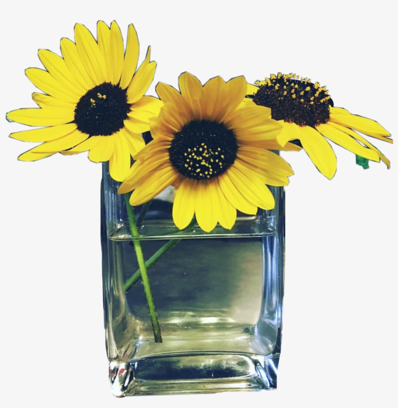 006 Flower Designs Vase Archaicawful Picsart Full - Flower, transparent png #7766937