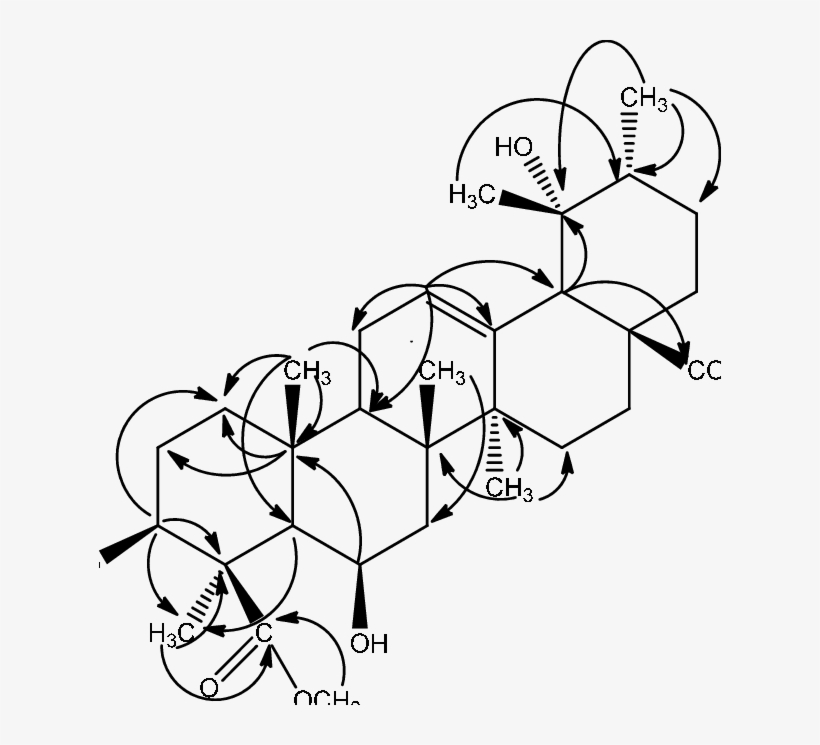 Selected Hmbc Correlations Of Compound - Diagram, transparent png #7768705