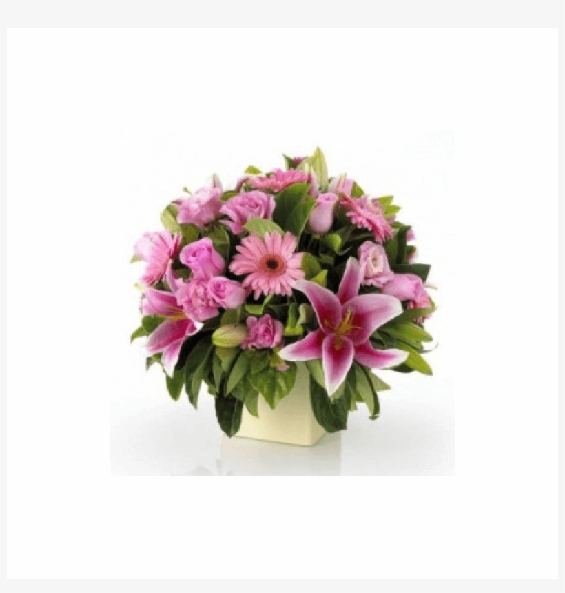 More Views - Visual Weight In Floral Design, transparent png #7769220