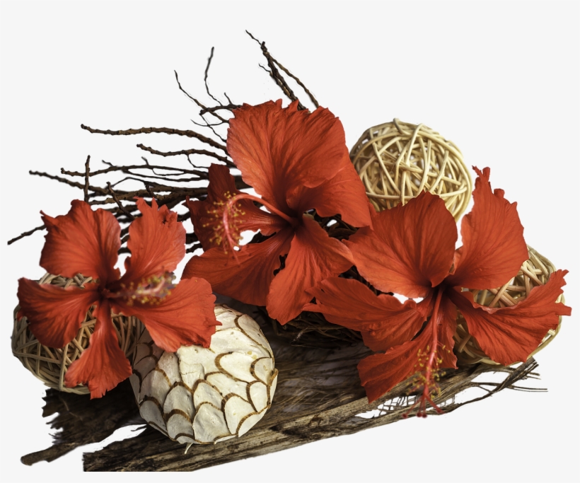 Flowers Driftwood Flower Arrangement - Mountain Garland, transparent png #7769250