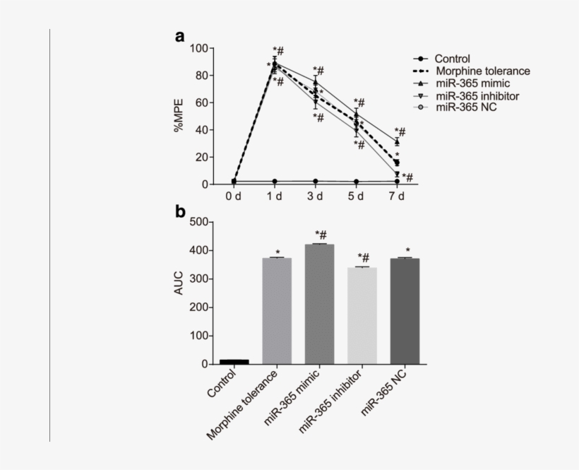 The %mpe Of Rats In Each Group After Administration - Diagram, transparent png #7769384