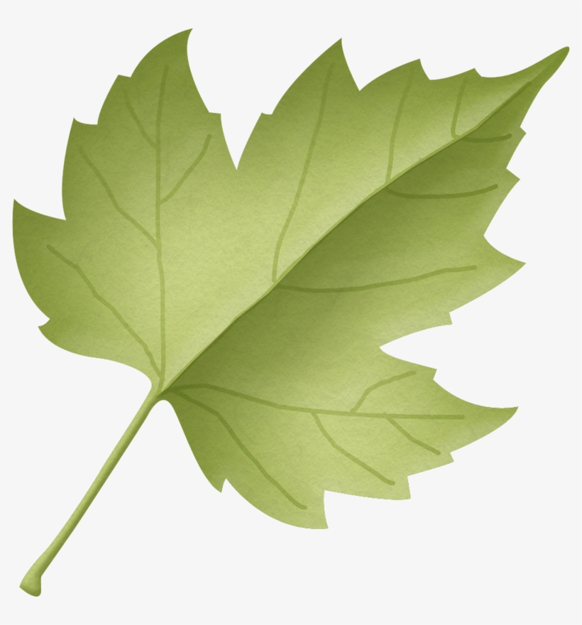 Leaf Clipart Woodland - Maple Leaf, transparent png #7769747