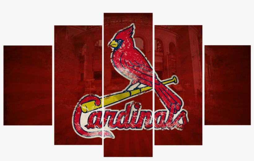 St Louis Cardinals, transparent png #7770556