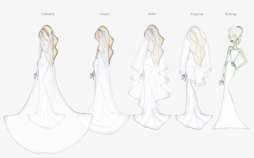 1000 X 600 7 - Type Of Veil Should I Wear, transparent png #7770611