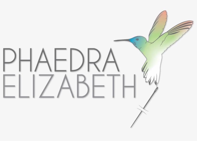 As A Designer I Am Really Clear About What I Am Good - Hummingbird, transparent png #7771436