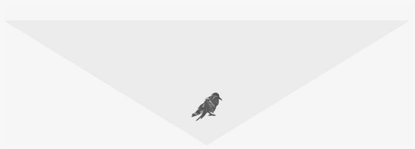 Parrot, transparent png #7771789