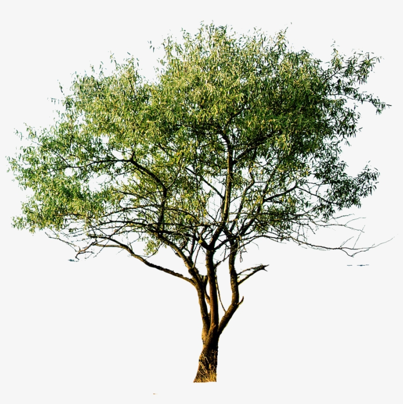 More Information - Ar Real Estate, transparent png #7771830