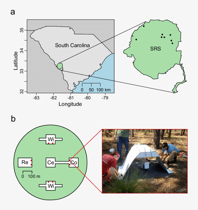 A Locations Of The Eight Experimental Blocks At The - Atlas, transparent png #7773012