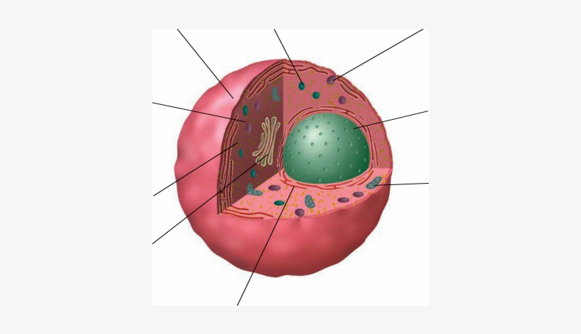 Location - Circle, transparent png #7775775