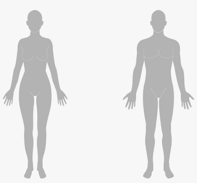 Chin - Human Body Silhouette Png, transparent png #7776204