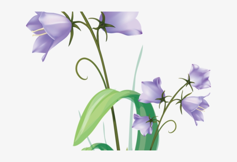 Bellflower Clipart Dove Png - Vector Graphics, transparent png #7776555