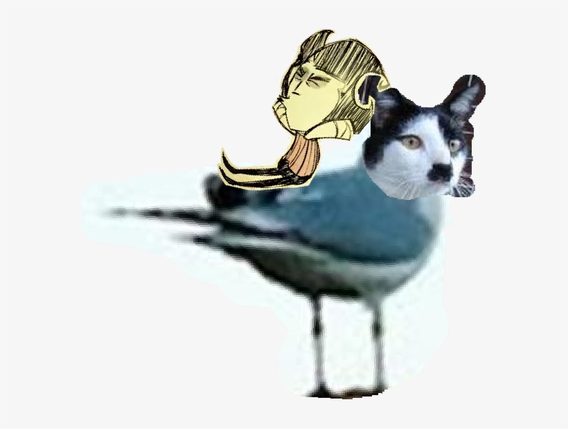 Png - Bird, transparent png #7777099