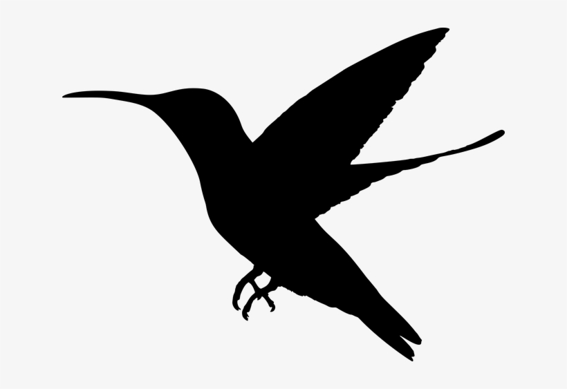 Animal, Bird, Flying, Hummingbird, Silhouette - Hummingbird Silhouette, transparent png #7777503
