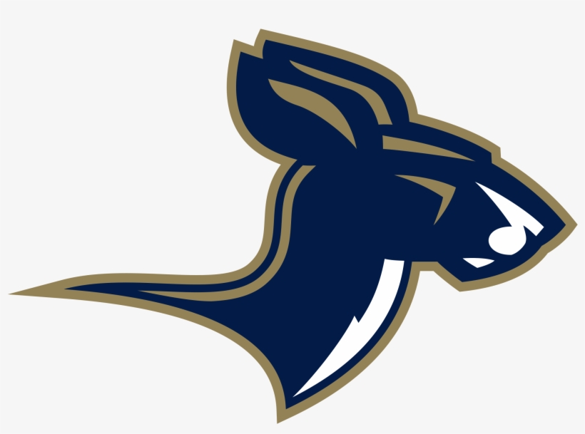 Akron Zips 04 Logo Png Transparent - Akron Zips, transparent png #7777605