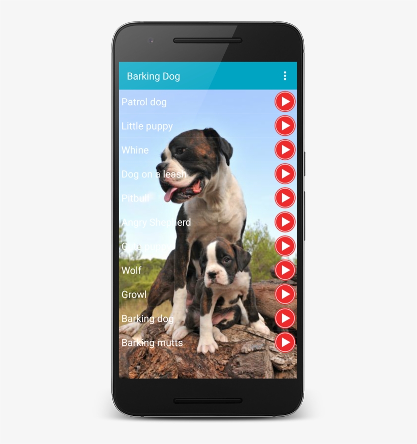 X - - Dogo Argentino X Boxer, transparent png #7777763