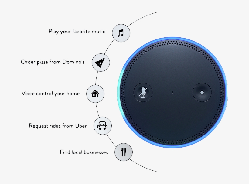 Get Amazon Echo Dot & Professional 24/7 Monitoring - Circle, transparent png #7778069