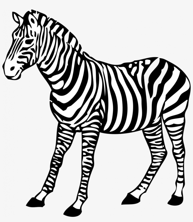 Zebra Pictures To Print - Coloring Images Of Zebra, transparent png #7778571