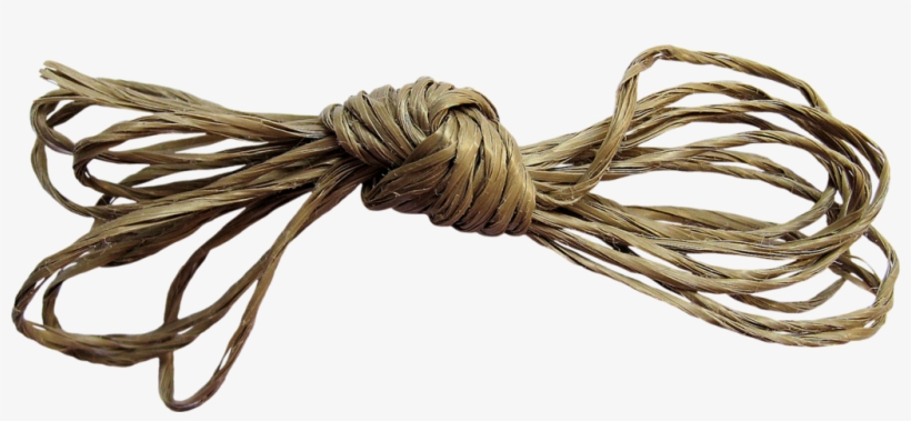 Wire, transparent png #7779170