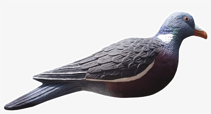 Custom Design Ultimate Decoy - Pigeon Forme Hd, transparent png #7779660