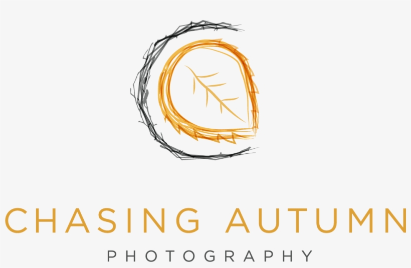 Grad Hat Png, transparent png #7780002