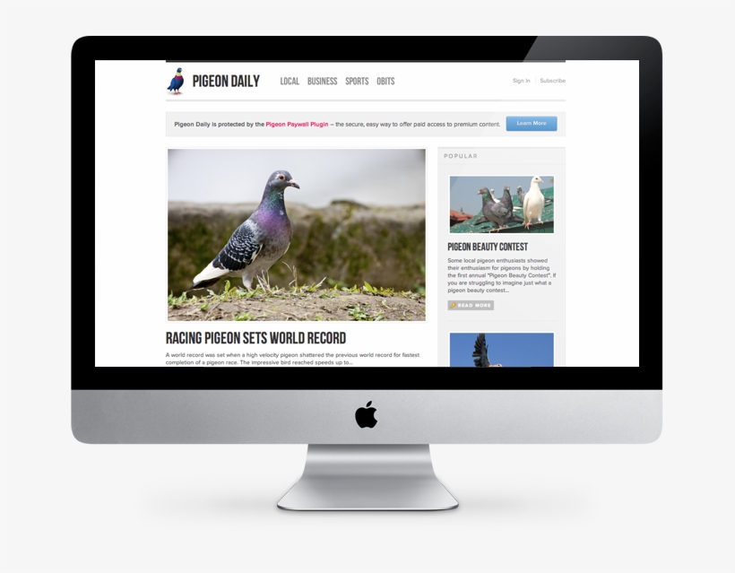 Graphic-preview@2x - Computer Monitor, transparent png #7780346