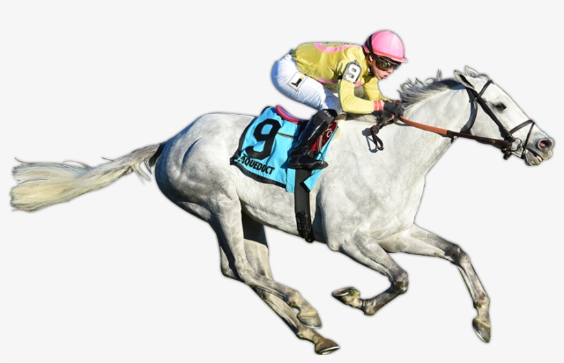 Mr Maybe Wins The G3 Red Smith - Racing Horse Cut Out, transparent png #7781855