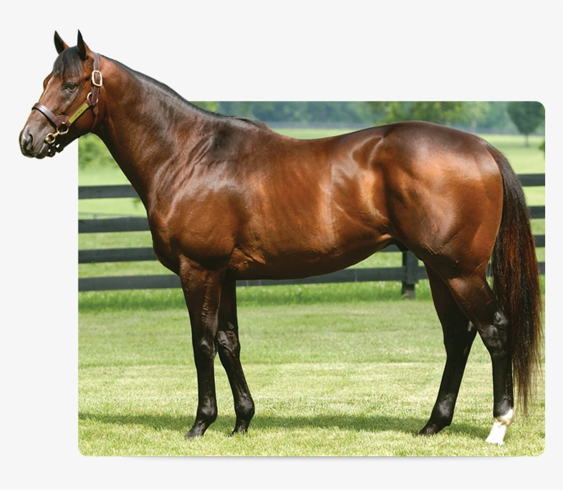 Sky Mesa, transparent png #7781899